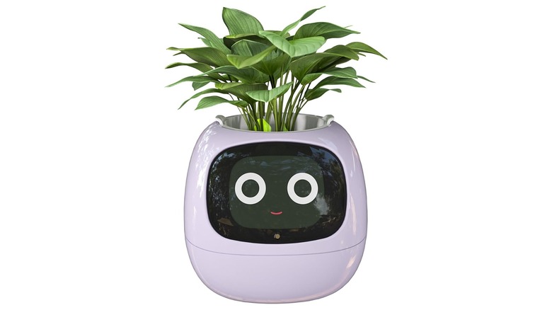 Ivy smart plant pot