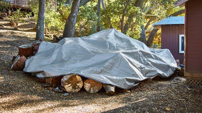 heavy-duty Harbor Freight Tools tarp covering firewood