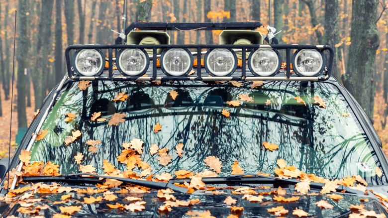 Car with lighting system covered in leaves