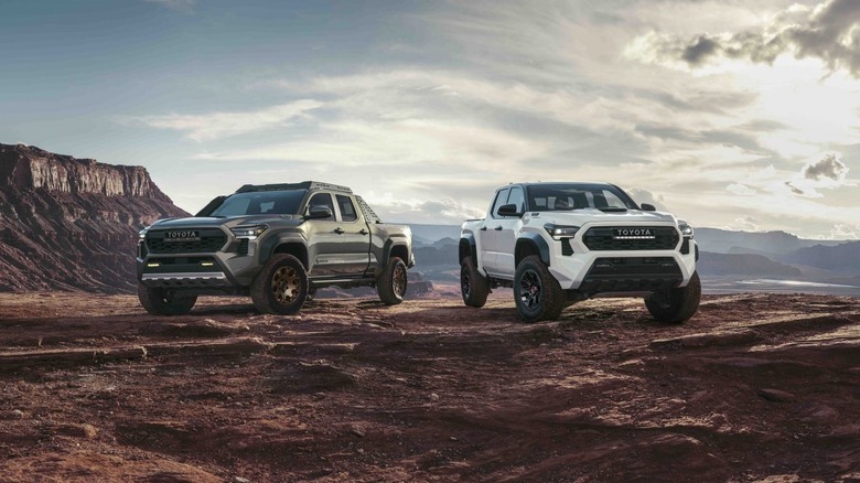 2024 Toyota Tacoma at Hurrah Pass