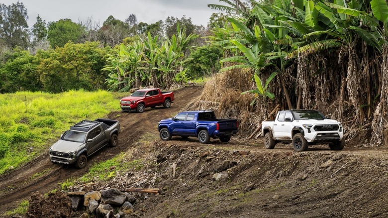 2024 Toyota Tacoma lineup