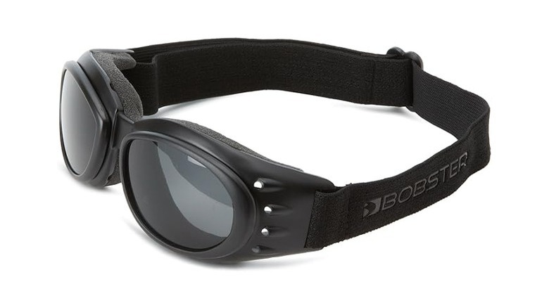 Bobster Cruiser II goggles