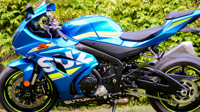 Blue Suzuki GSX-R1000 in garden