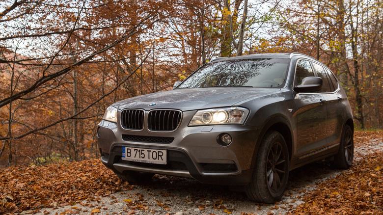 2017 BMW X3 in forest