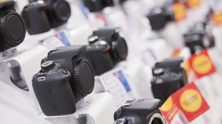 Many different DSLR camera bodies on a white background in a store.