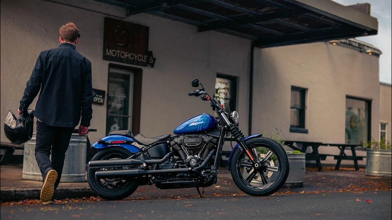 person with Harley Street Bob