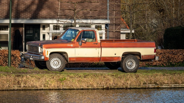 Chevrolet C series 1976