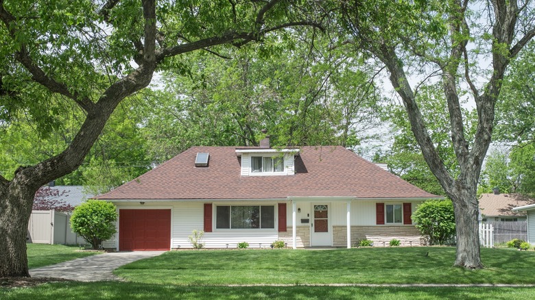 house surrounded by large trees