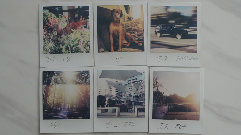 shots taken with Polaroid I-2