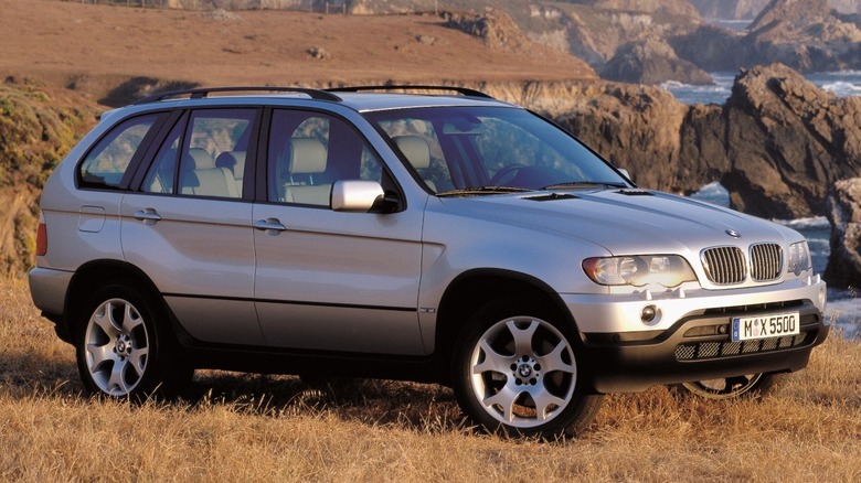 A silver X5 parked in scrub on the edge of a cliff