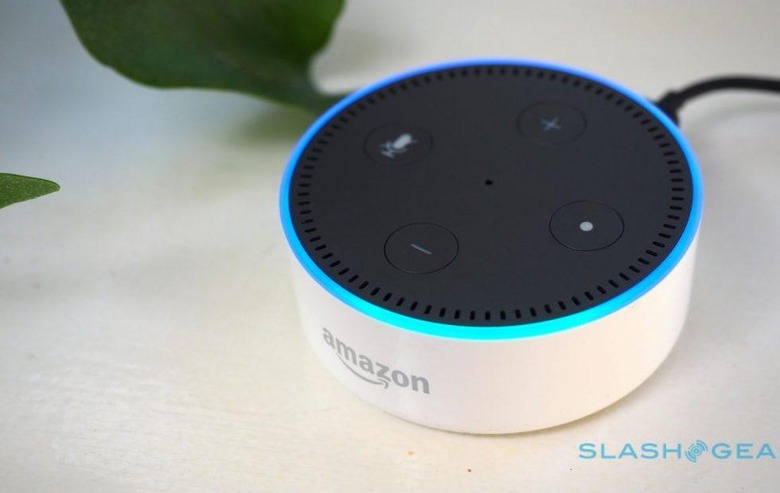 Free clearance echo dot