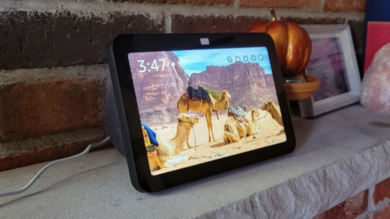 Amazon Echo Hub displays a camel