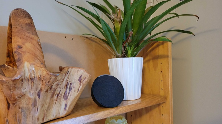 Amazon Echo pop on a shelf