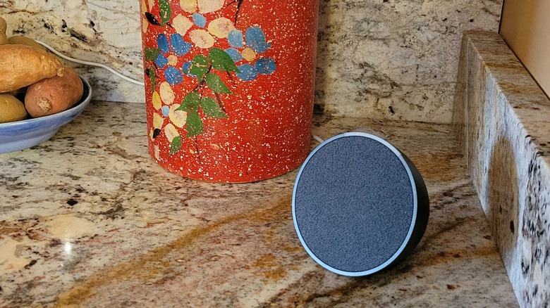 Amazon Echo pop in a kitchen