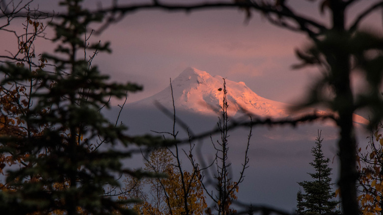 Snow capped Mount Spurr volcano in the morning