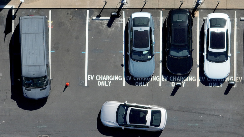 Row of electric cars charging