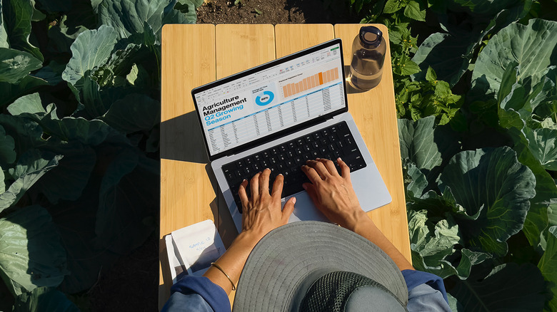 Person using a 2024 M4 MacBook Pro in a vegetable field