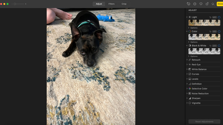 Apple Photos editing suite interface