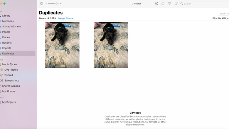 Apple Photos duplicates section