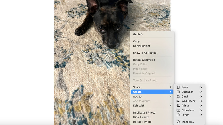 Apple Photos Create dropdown menu