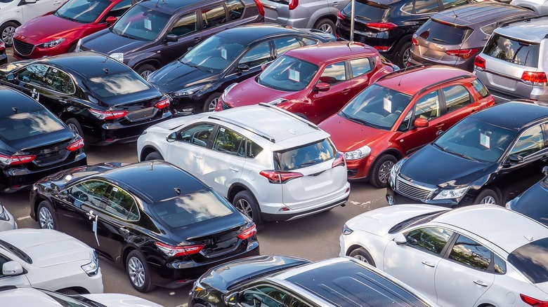 Cars in dealership lot