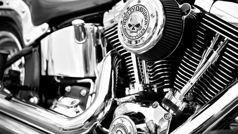 Harley-Davidson bike engine