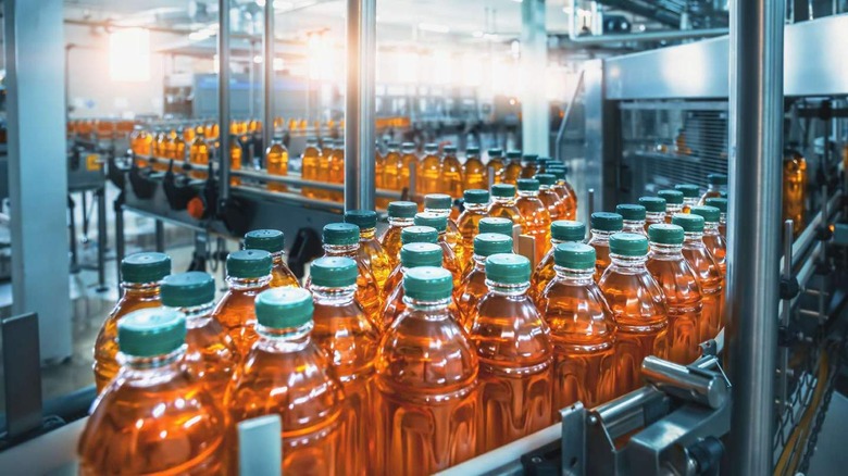 Bottles on conveyor belt