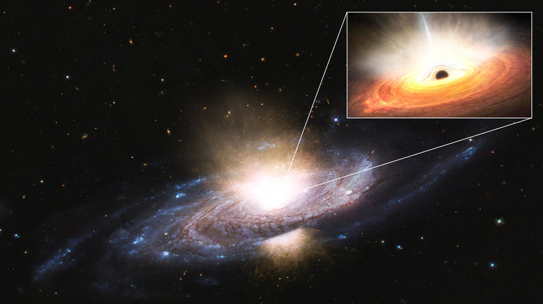 black hole winds reshape galaxy