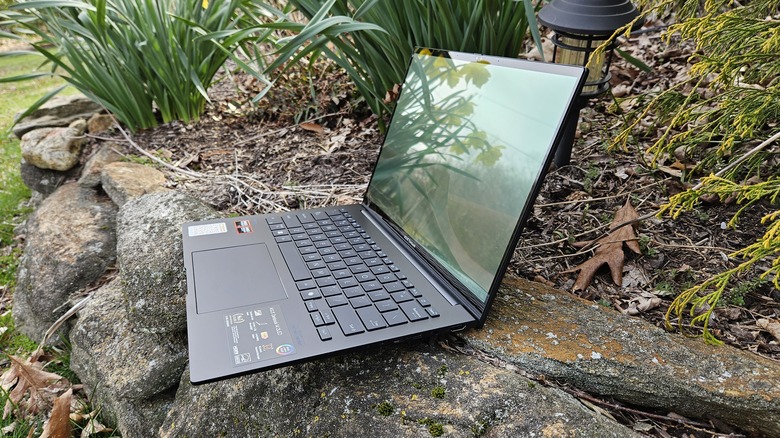 Asus Zenbook 14 OLED 2024 open on a rock surrounded by plants and greenery.