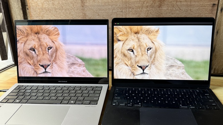 Display comparison for Asus laptop