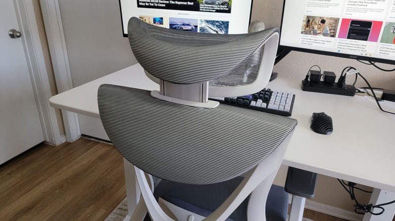 back of the autonomous ergochair curve chair