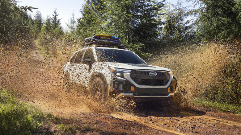 Subaru Forester Wilderness off-roading