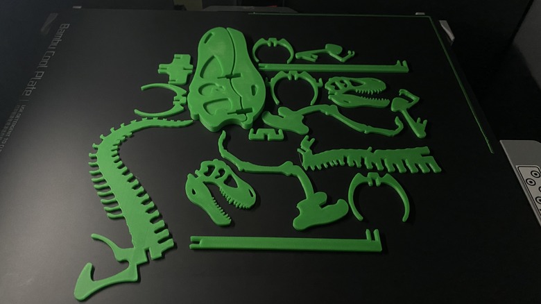 printed dinosaur bone puzzle