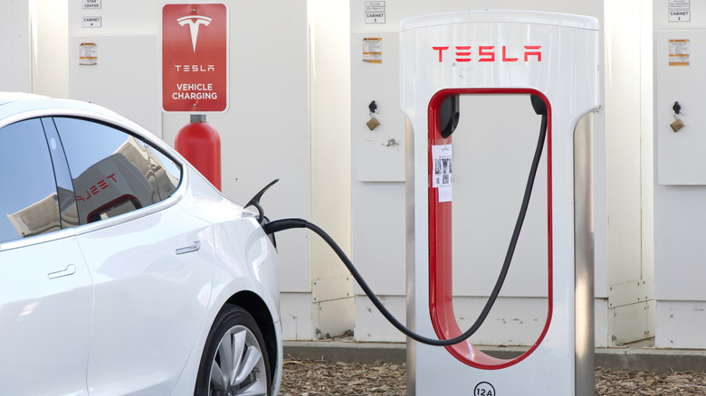 Tesla and BYD electric cars side by side in a parking lot.