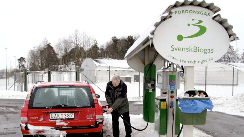 man filling up his car with biogas