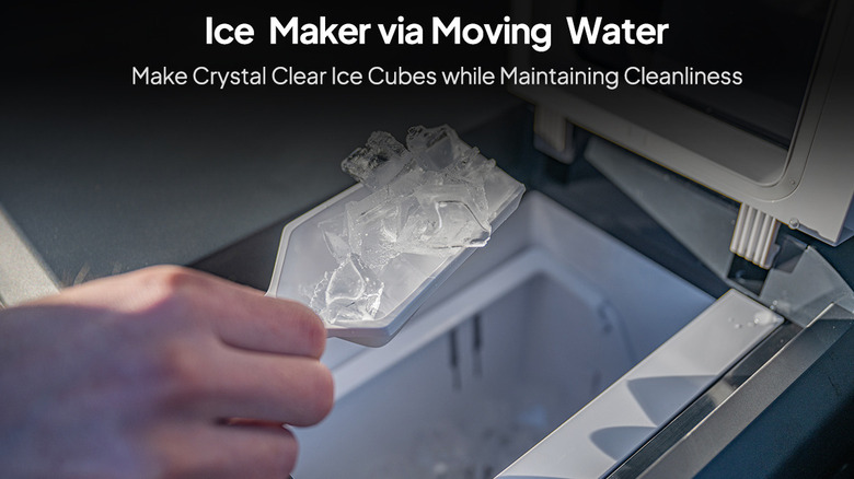 scooping ice from multicooler ice maker