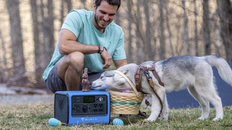 Man with dog and power station