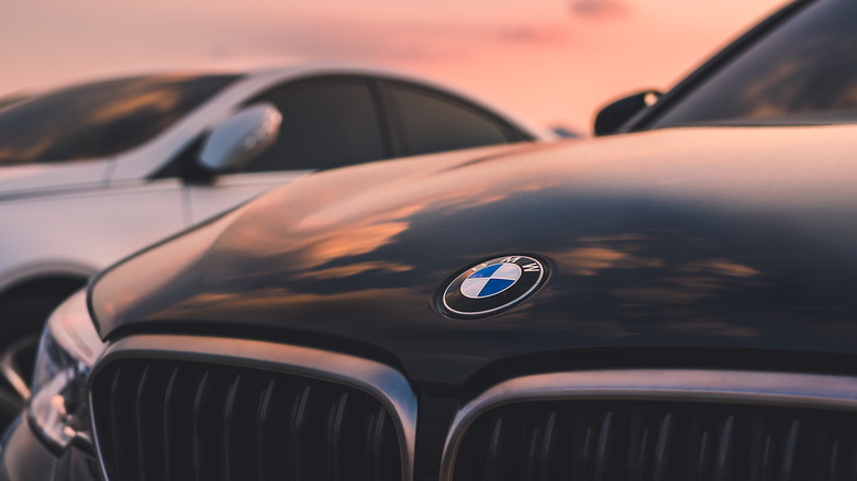 Closeup of a BMW grille