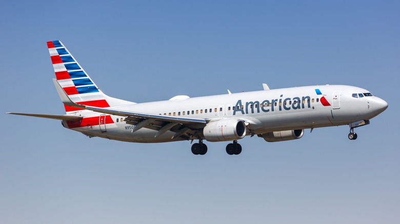 Boeing 737-800 in flight