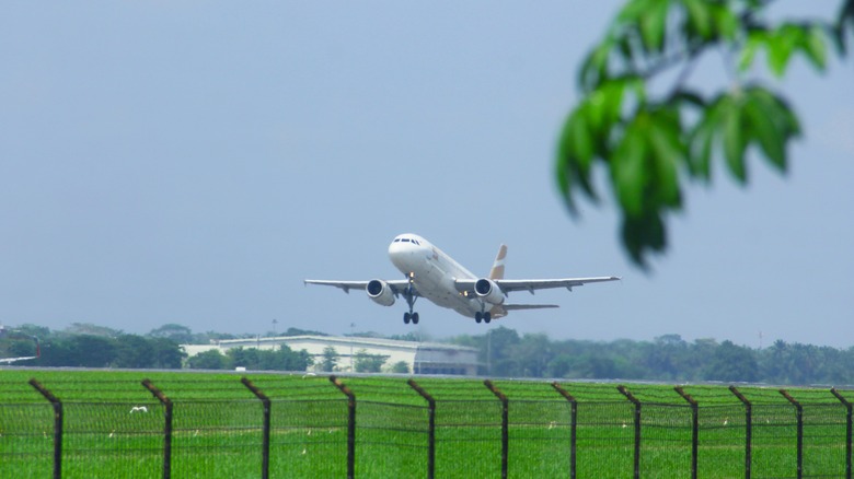 Airbus A320CEO taking off