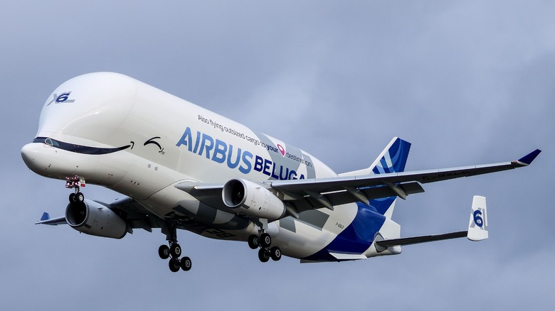 Airbus BelugaXL taking off