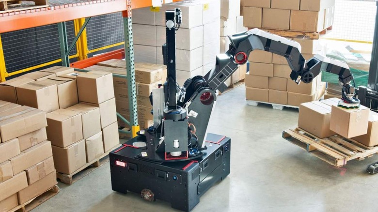 Stretch robot with warehouse boxes