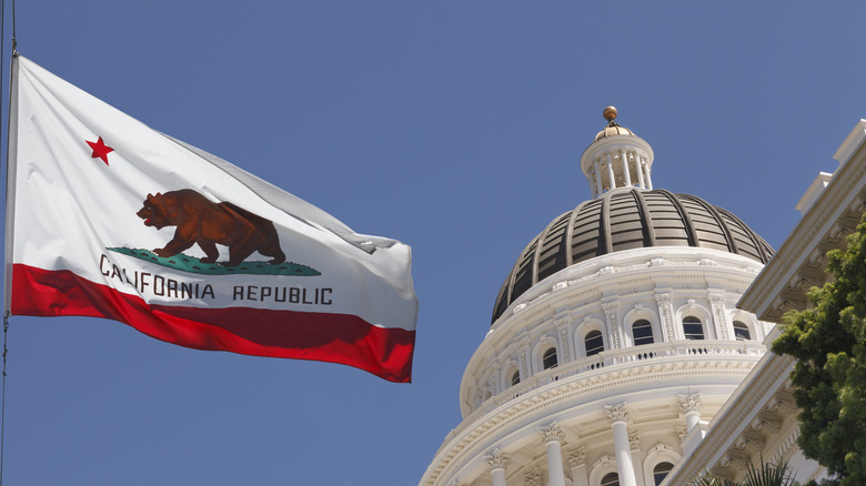 The California state flag, with its star, its bear, and the words "California Republic," in front of state capitol