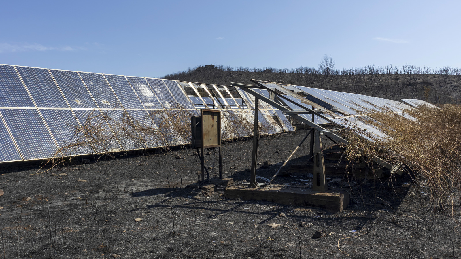 ¿Pueden incendiarse los paneles solares?  Lo que deberías saber