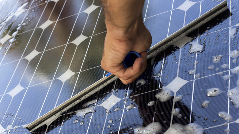 Person cleaning solar panels