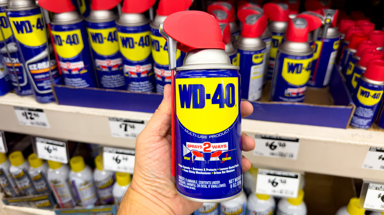 Holding a can of WD-40