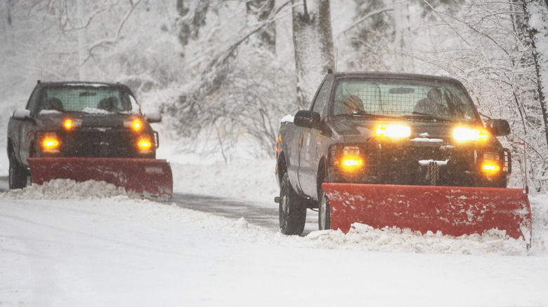 Two trucks with snowplows attached.