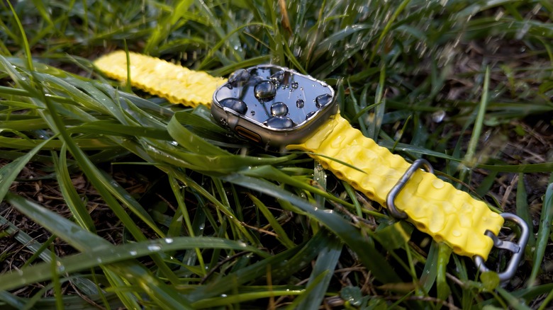 Apple Watch Ultra 2 on grass