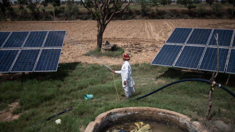 Man sprays solar panels