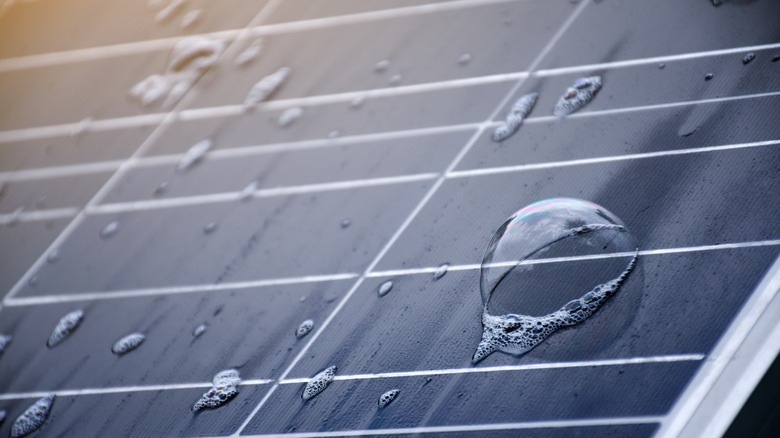 Wet and soapy solar panel